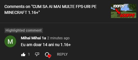 YouTube comment 2